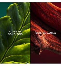 Chant d'Aromas - Eau de Toilette
